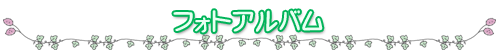 フォトアルバム